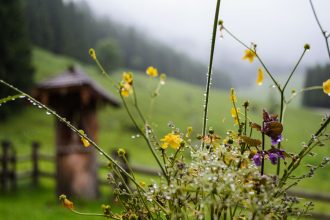 Погода на 9 липня 2026 в Україні: прогноз синоптиків, де буде похолодання та зливи