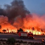 Лісові пожежі в Європі: збитки перевищили 3 млрд євро