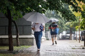 Погода на Дніпропетровщині: дощі зміняться спекою до +29