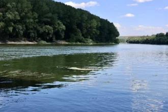 Посуха на Дністрі посилилася: рівень води критично знизився