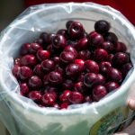 Вишневий сік для сну: як працюють мелатонін і триптофан