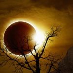 Сонячне затемнення 2026: час, наслідки та спостереження в Україні