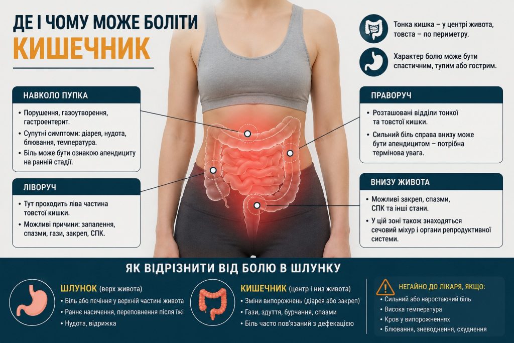 Як зрозуміти, що болить кишечник: симптоми, де болить і як відрізнити від шлунка