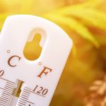 Погода у Львові 10 серпня: що кажуть синоптики