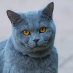 8 серпня в Україні та світі: головні свята цього дня