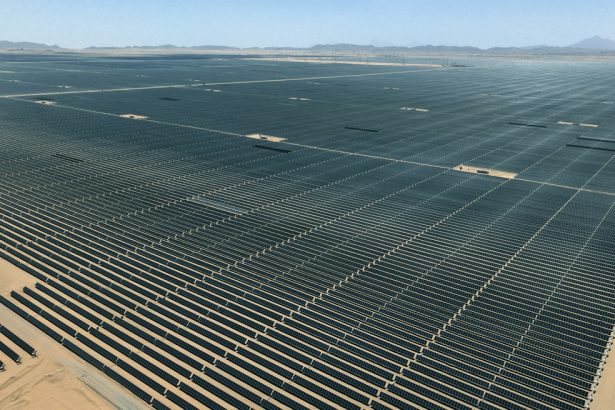 Завод зеленого водню NEOM: потужність 600 тонн щодоби