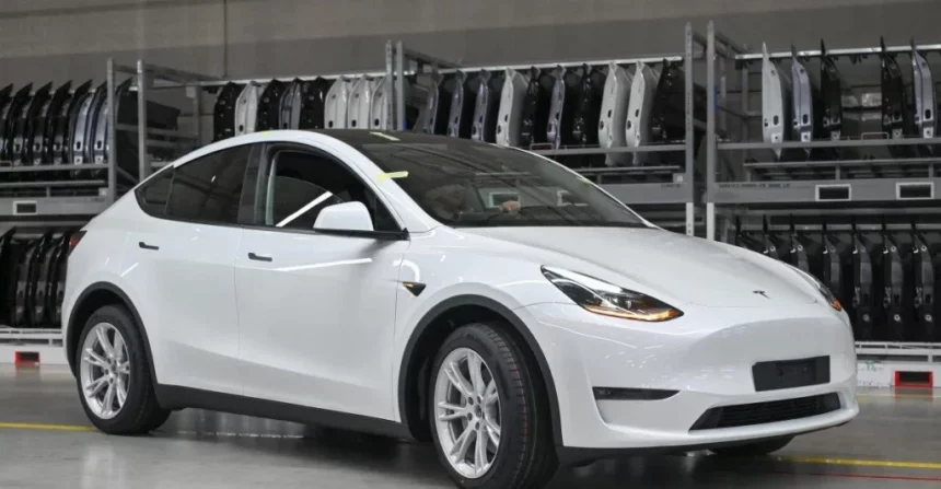 Tesla Model 3 і Model Y перевіряють через дефект підвіски