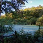 Зеленський створив парк Чорний Ліс: 13,7 тисячі гектарів