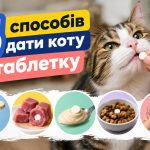 Як дати коту таблетку: 5 способів, які допоможуть без стресу для тварини