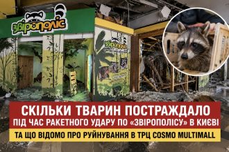 Скільки тварин постраждало під час ракетного удару по «Звірополісу» в Києві та як виглядає зоопарк після атаки