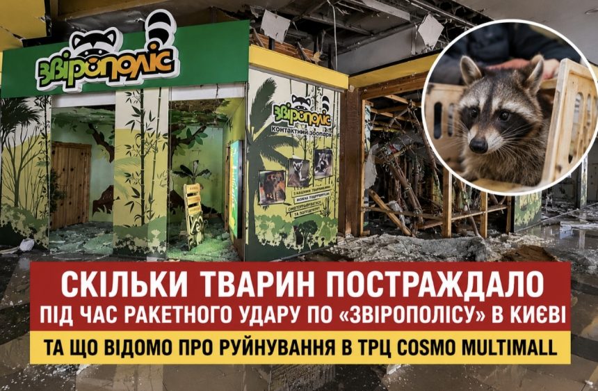Скільки тварин постраждало під час ракетного удару по «Звірополісу» в Києві та як виглядає зоопарк після атаки